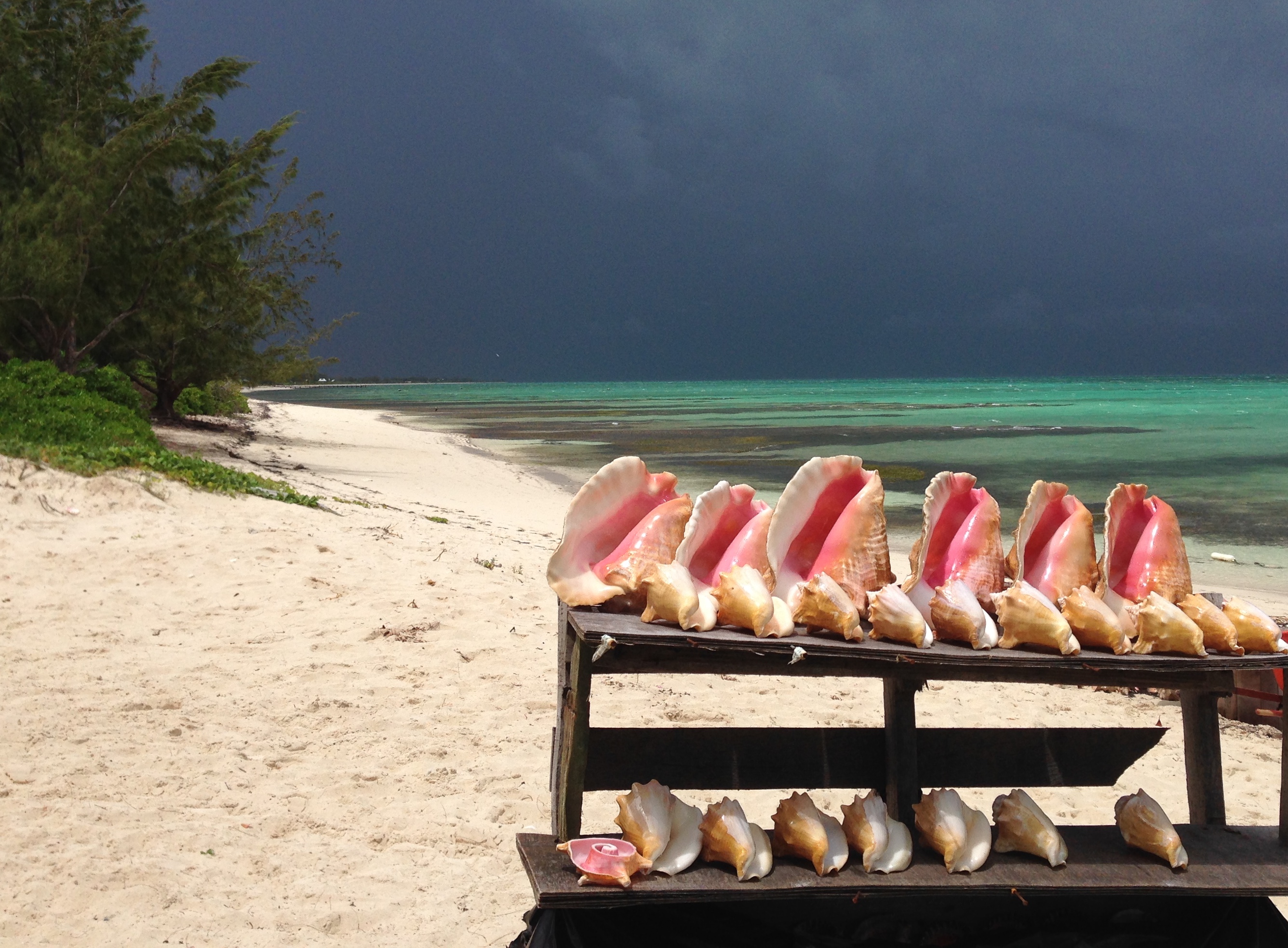 Conch Shack Beach, Turks u0026 Caicos | © Michelle A. Chin